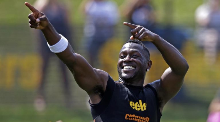 ProCamps Announces New Antonio Brown Youth Football Camp