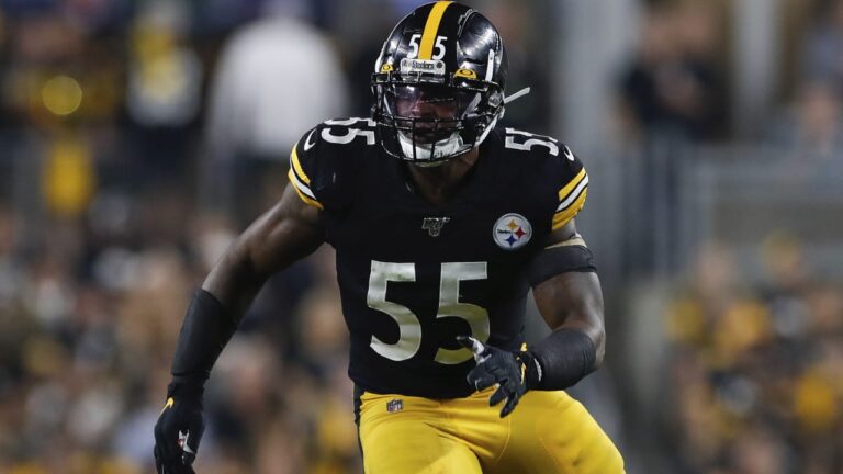 Bush of the Steelers. steelcityblitz.com
