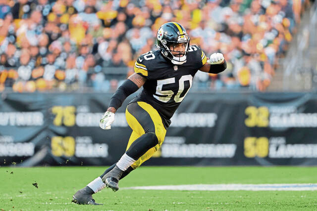 Roberts steelcityblitz.com